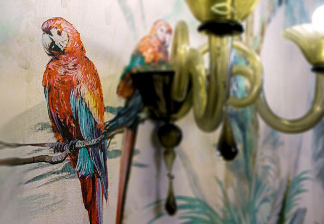 Appartement à Venise - Ca' Mainella Grand Canal  Appartement à Venise - Ca' Mainella Grand Canal