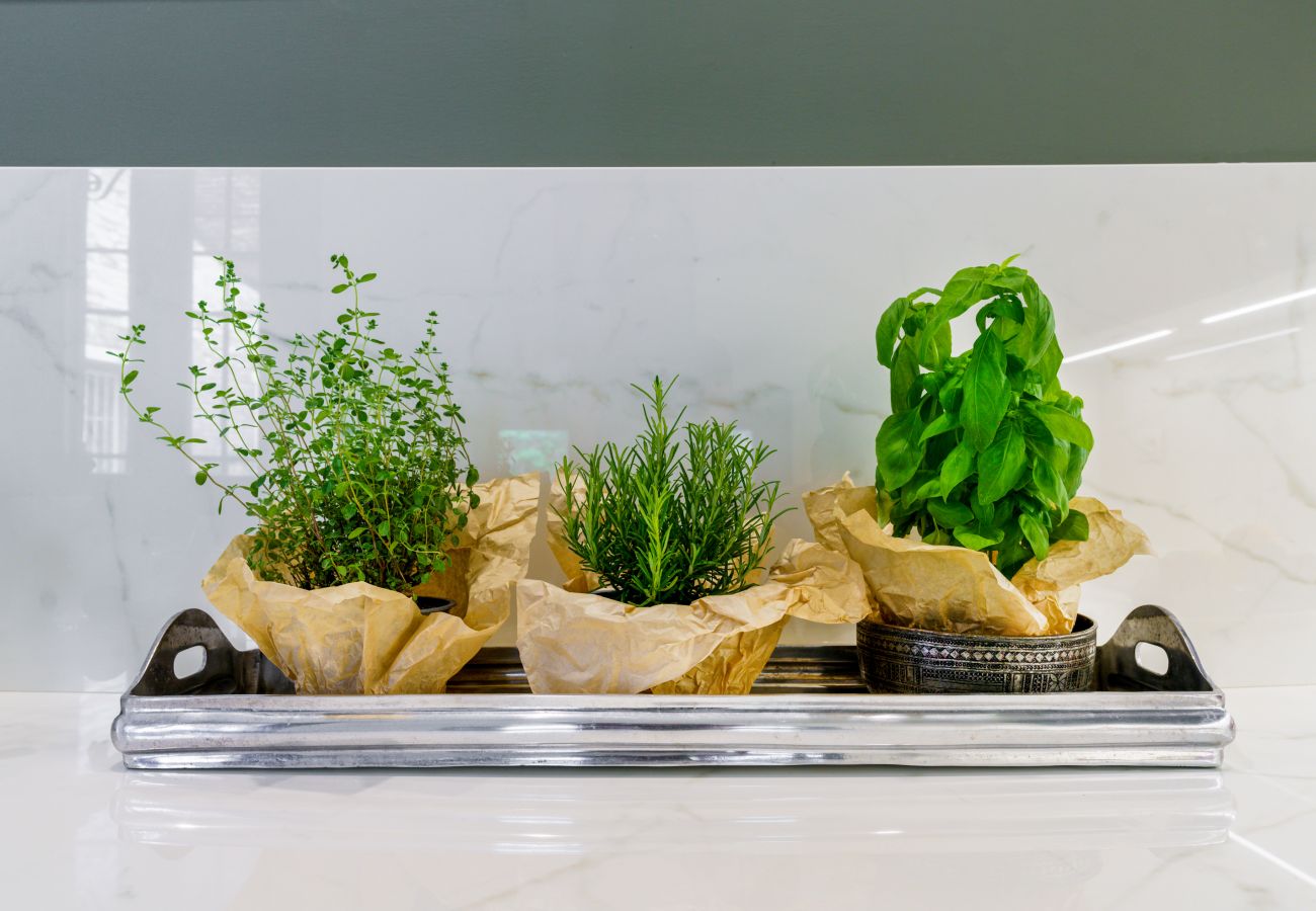 Appartamento a Venezia - Corte della Palma Superb Venetian Garden Appartamento a Venezia - Corte della Palma Superb Venetian Garden