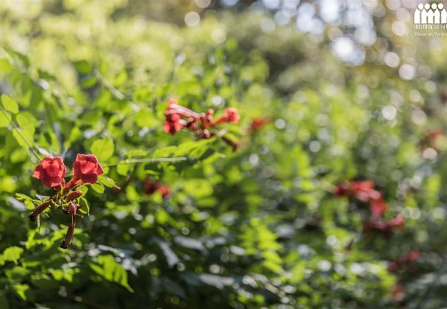 Apartment in Venice - Ca' Cerchieri 1 Cosy Apartment  Apartment in Venice - Ca' Cerchieri 1 Cosy Apartment