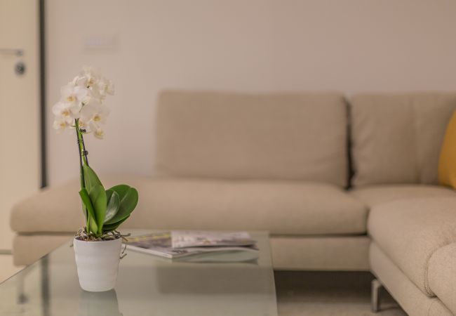 Apartment in Venice - Ca' Rossini 1 Apartment Apartment in Venice - Ca' Rossini 1 Apartment